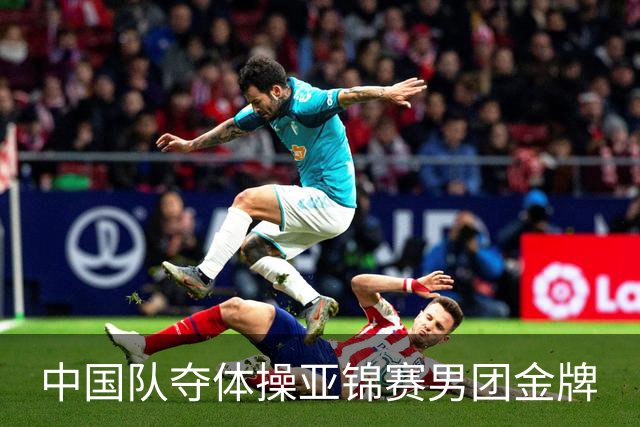 中国队夺体操亚锦赛男团金牌