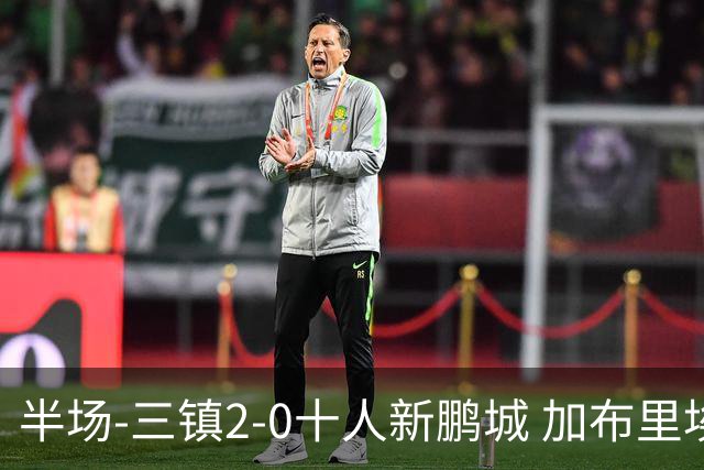 半场-三镇2-0十人新鹏城 加布里埃尔13分钟直红熊继政汪晋贤破门
