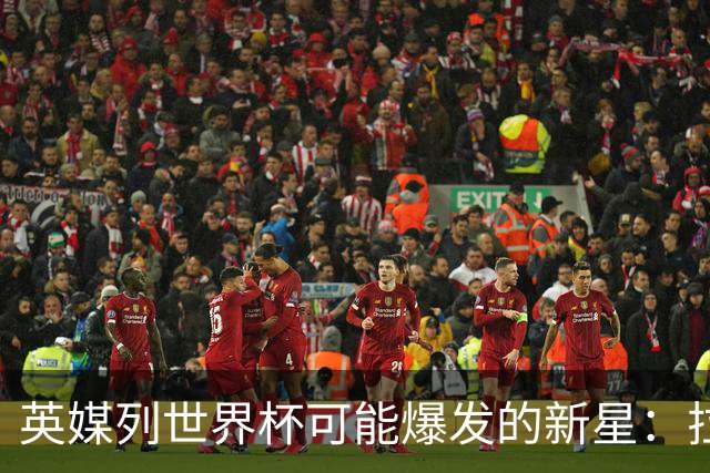 英媒列世界杯可能爆发的新星：拉扬、帕斯、迪奥曼德、武什科维奇