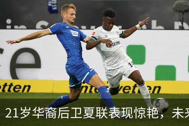 21岁华裔后卫夏联表现惊艳，未来或成为中国男篮的强力归化球员